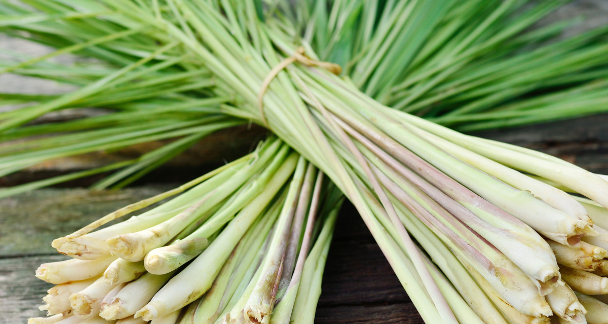 Lemongrass