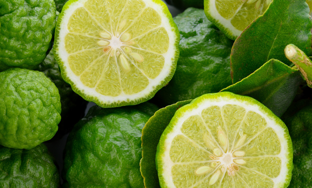 Kaffir Lime