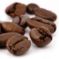 القهوه Coffea arabica (Rubiaceae)