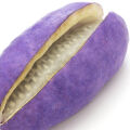 Akebia fruit Akebia quinata