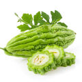 Bitter melon Momordica charantia