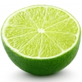 Lime Citrus aurantifolia