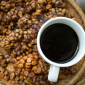 Kopi Luwak Coffee