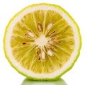 Bergamot