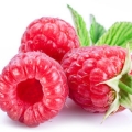 Raspberry