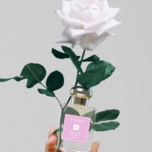 ✨ NEW ✨ Black Opium LE PARFUM & Jo Malone Rose Water & Vanilla Review 