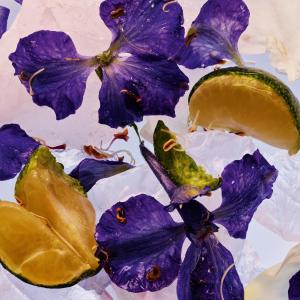 Daydream of Passing Clouds By Far perfume - a fragrance for women