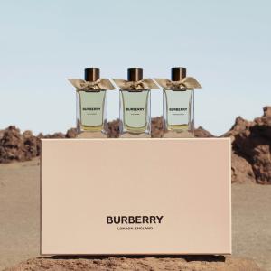 Burberry Ash Flower, Snow Blossom, and Oud Storm: Inspired by Unique Plants