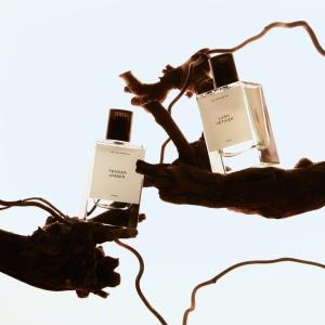 Lush Vetiver Zara cologne - a new fragrance for men 2023