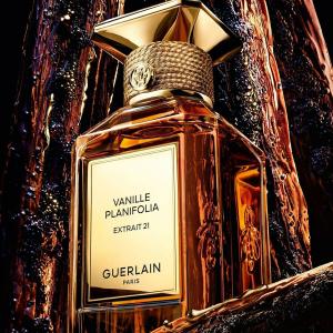 Vanille Planifolia Extrait 21 Guerlain perfume - a new fragrance for