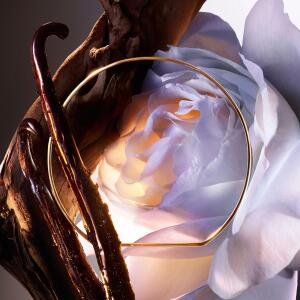 Absolue Rose On The Moon Lancôme perfume - a new fragrance