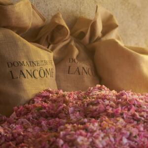 【国内正規品】ランコム ROSE ON THE MOON 100ml Rose on the Moon Eau de Parfum - Absolue Les Parfums - Lancôme