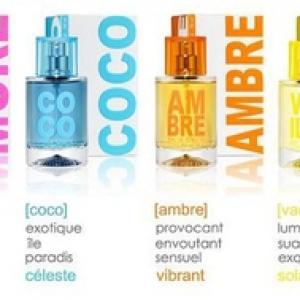 Vanille Parfum Solinotes 15ml à Prix Carrefour