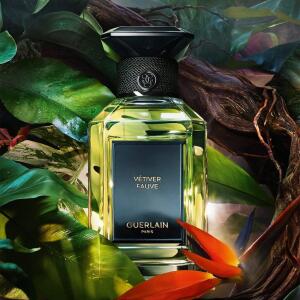 香水(男性用) GUERLAN VETIVER 50ml Amazon.com : Guerlain Vetiver Eau De Toilette Spray For Men