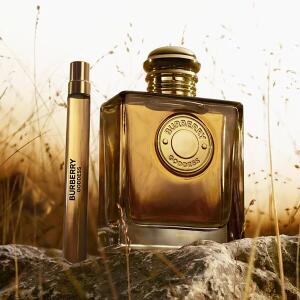 香水(男性用) Burberry GoddessEaude Parfum 100ml un Goddess Parfum Burberry 香水- 一款2025年新的女用香水
