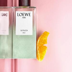 Aire Sutileza Elixir Loewe 香水- 一款2026年新的中性香水