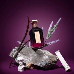 Paladin Velixir perfume - a new fragrance for women and men 2025