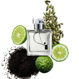 Tribal Black Tea 2026 Illuminum fragancia - una nuevo fragancia