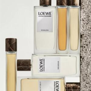 Un Paseo Por Madrid Rosaleda Loewe perfume - a fragrance for women