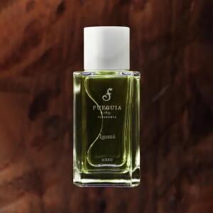 Iguazú FUEGUIA 1833 100ml Iguazú Fueguia 1833 perfume - a fragrance for women and men 2018