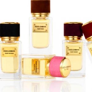 Velvet Wood Dolce&Gabbana perfume - a fragrance for women and men 2011