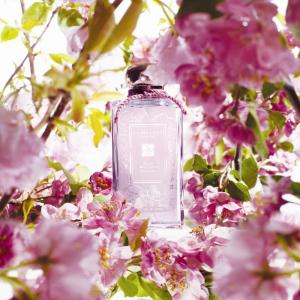 jo malone plum blossom cologne