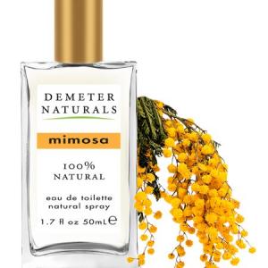 mimosa flower perfume