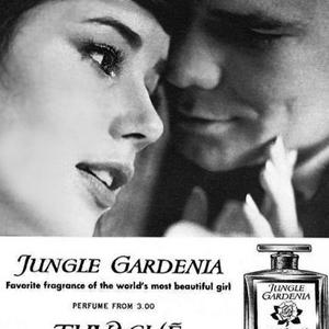 jungle gardenia perfume natalie wood