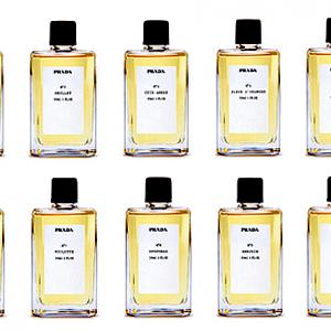 No9 Benjoin Prada perfume - a fragrance for women and men 2008