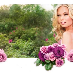 Rose of Dreams Oriflame perfume a fragrance for women 2013