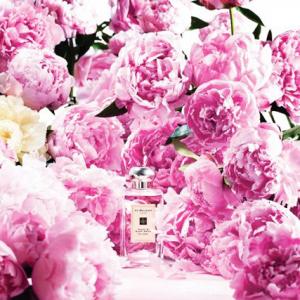 jo malone peony and blush suede fragrantica