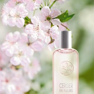 cherry bloom yves rocher prix