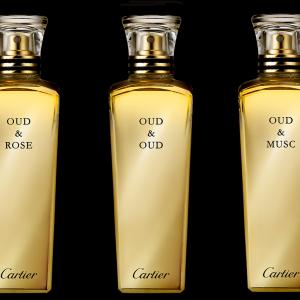 Oud \u0026amp;amp; Oud Cartier perfume - a 