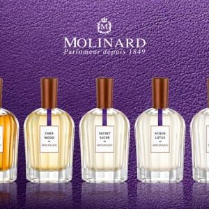 cher wood molinard