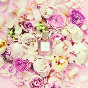 a la rose fragrantica