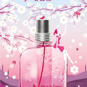Fleurs de Cerisier L'Eau L'Occitane en