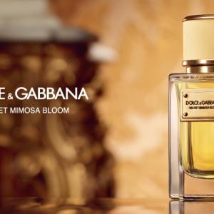 dolce and gabbana bloom