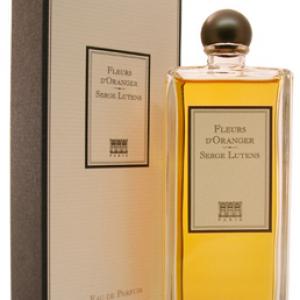 lutens fragrantica