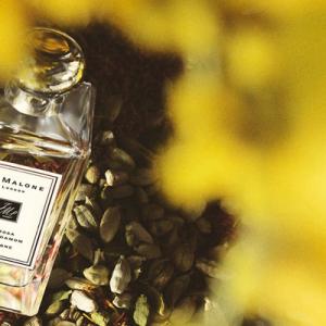 jo malone mimosa review