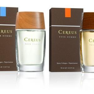 Cereus cologne popular #11