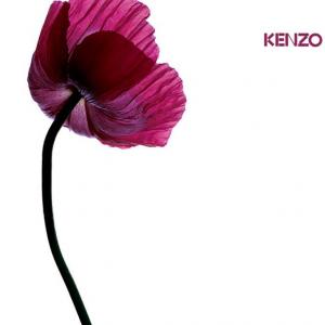 kenzo winter flowers