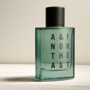 劇レア　アバクロ　NORTH EAST Eau de Cologne 50mL 劇レア アバクロ NORTH EAST Eau de Cologne 50mL メンズ コロン