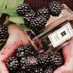 jo malone blackberry and bay fragrantica