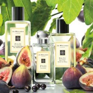 Wild Fig & Cassis Jo Malone London perfume - a fragrance for women and ...