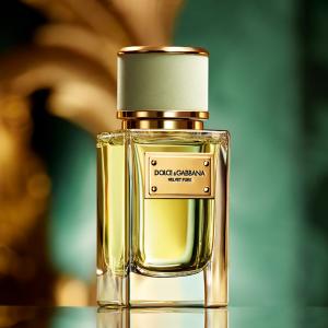 Velvet Pure Dolce&Gabbana perfume - a fragrance for women 2016