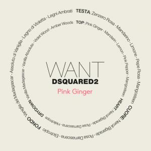 pink ginger dsquared