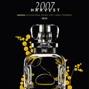 Amarige 2010 Harvest Collection by for Women 2.0 oz. EDP Perfume Spray Limited  Edition 