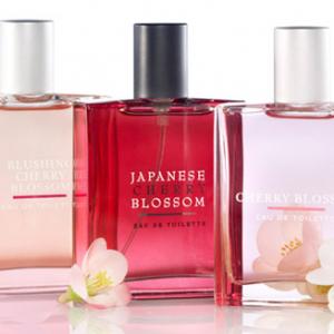 Cherry Blossom Bath amp Body Works perfume a fragrance for