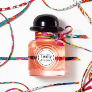 twilly by hermes