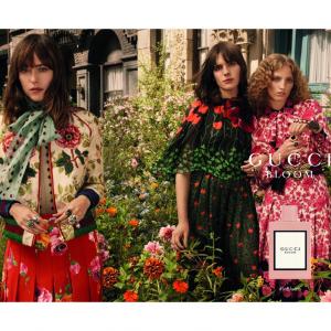 gucci bloom fragrantica